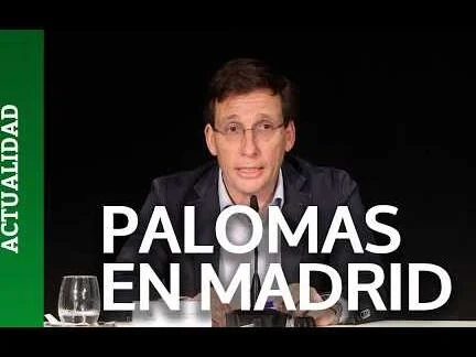 Peligrosos puntos de palomas en la ciudad