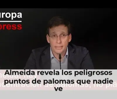 Palomas en lugares peligrosos de la ciudad