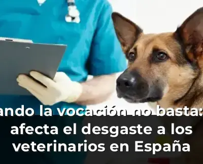 Cuando la vocación no basta: así afecta el desgaste a los veterinarios en España