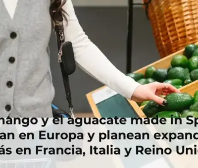 El mango y el aguacate made in Spain brillan en Europa y planean expandirse más en Francia, Italia y Reino Unido
