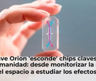 La nave Orion 'esconde' chips claves para la humanidad: desde monitorizar la salud en el espacio a estudiar los efectos