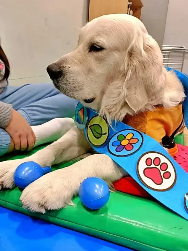 Talleres con perros en educación especial: bienestar y participación desde la adaptación individual