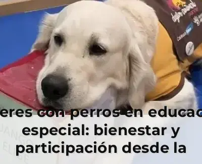 Talleres con perros en educación especial: bienestar y participación desde la adaptación individual