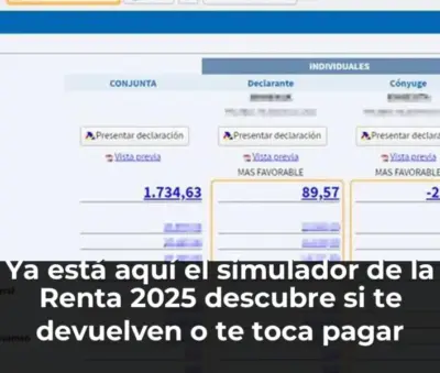 Simulador de la Renta 2025 resultados